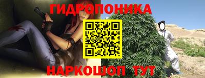 амф Гусь-Хрустальный