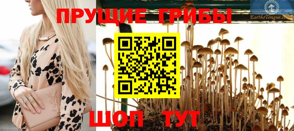 Галлюциногенные грибы прущие грибы  Вход с VPN  Галлюциногенные грибы мухоморы  Реж 